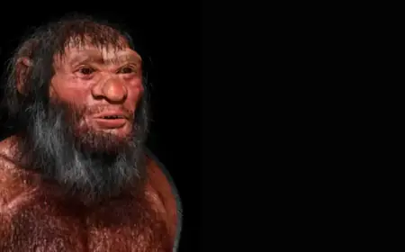 Unveiling Ghost Lineages: Ancient DNA Remnants Within Us Today