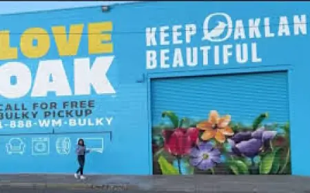 Access Denied: Regional news pages interrupted by edge security checks