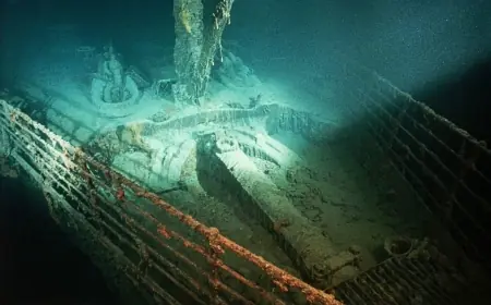 New study reveals surprising sea life colonising the Titanic wreck 3,800 metres down