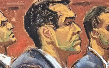 Witness Testifies: Hamptons Partygoers Observed Assault on Alexander Brothers