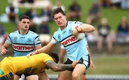Sharks Face Eels in Witzer Pre-Season Challenge