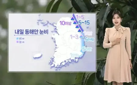 High Pollution Levels Decrease by Evening; Snow and Rain Expected Tomorrow