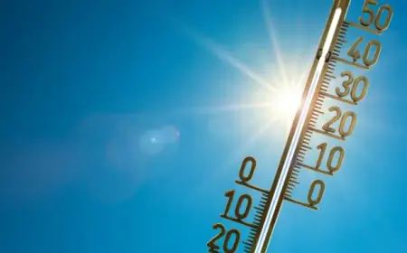 Calgary Weather Forecast (Feb 15): Clear Skies, Cold Start, Mild Afternoon