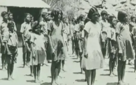 SBS Hindi: Key News Highlights for February 14, 2026