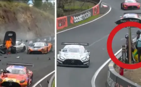 Fans Seek Clarity After Shocking Horror Incident