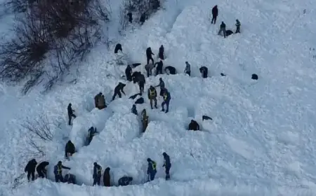 Suusamyr Avalanche Claims 20 Sheep; Search Continues for Missing Shepherd