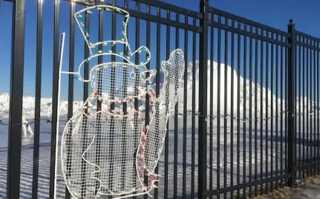 Islander Day 2026: P.E.I. Openings and Closures Unveiled