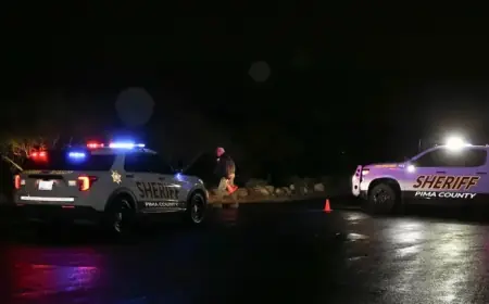 Nancy Guthrie Search: Task Force Awaits Forensic Results in Third Week