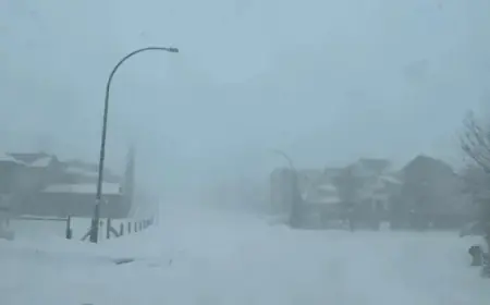 Winter Returns Fiercely to Calgary with Possible 30 cm Snowfall: ECCC