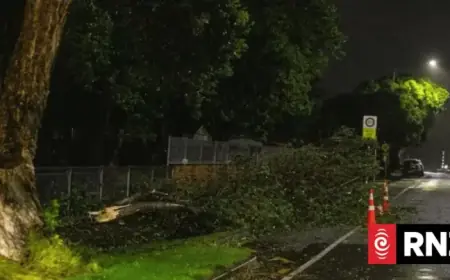 Severe Gales and Rain Force Evacuations, Power Outages in Lower North Island