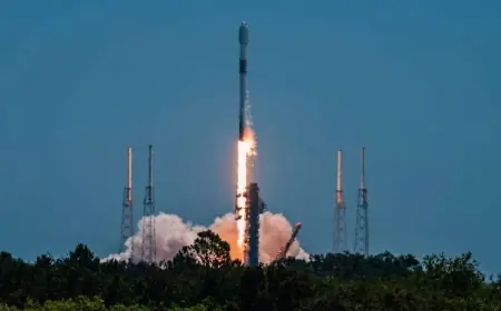 Vietnam clears Starlink internet for commercial use, greenlights up to 600,000 terminals