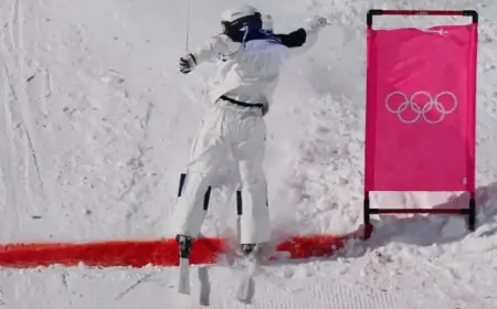 Wild Freestyle Skiing Finale Stuns Fans at Winter Olympics