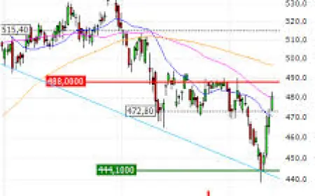 Access Issues Hamper Coverage of peter steinberger