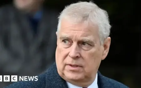 Vince Cable Calls to Investigate Andrew’s Tenure as Trade Envoy – BBC