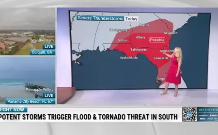 Overnight Severe Storms Cut Power, Scatter Debris Across Louisiana and Mississippi