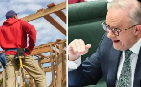 Government Fuels ‘Artificial’ Land Demand Amid Australia’s Housing Crisis