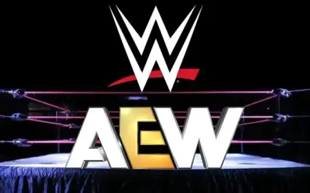 Ex-WWE Wrestlers Join AEW Roster