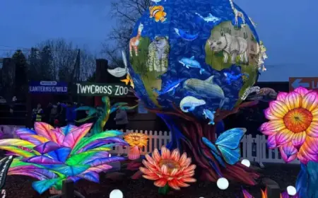 Discover This Stunning Outdoor Light Trail: Tickets from £14, Limited Time Offer