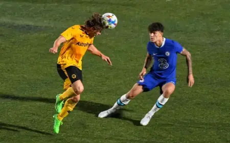 Wolves’ Unplayed £1m Signing Seeks More FA Cup Glory After Challenging Career