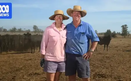Rain Breaks Dry Spell, Queensland Farmers Celebrate