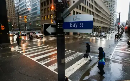 Discover a High-Yield Portfolio for Dividend Enthusiasts