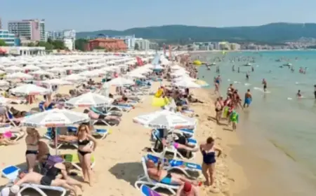 Sunny Town Emerges as the New Benidorm with Affordable 24-Hour Clubs