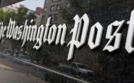 French Hockey Star Suspended After Clash with Tom Wilson