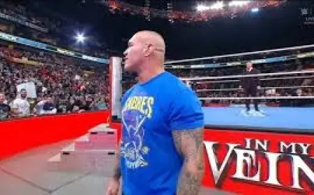 Coverage limited as websites display 'Just a moment...' ahead of elimination chamber 2026