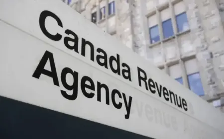 Expert Offers Essential Tips for February Tax Season Launch