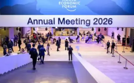 Top 2 High-Growth ETFs to Buy Now