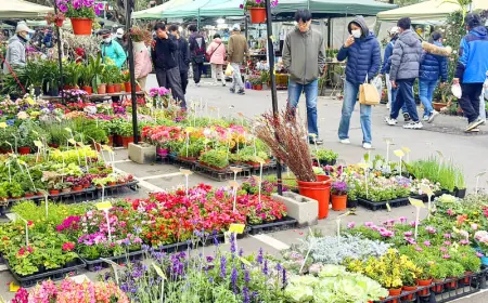 Lunar New Year 2026: Year of the Fire Horse arrives amid blooms, feasts and fresh online controls