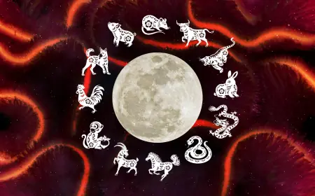Happy Chinese New Year! How to find your Chinese Zodiac Sign, and what it says about you