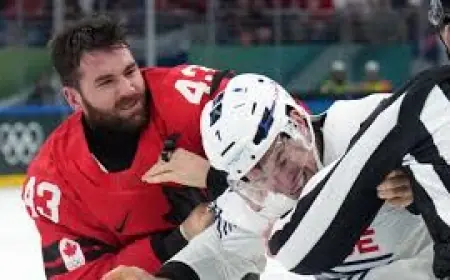 French Defenseman Suspended for Remainder of Olympic Hockey Tournament After Fight with Tom Wilson