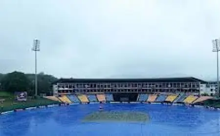 Rain Washes Out Ireland v Zimbabwe and Ends Australia’s T20 World Cup Hopes