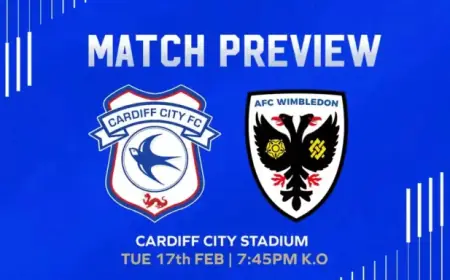 Cardiff City Set to Face AFC Wimbledon: Match Preview