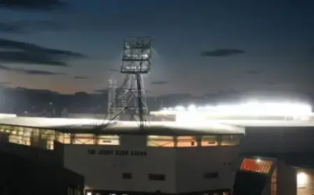 Complete Guide to The Spartans (H) Film