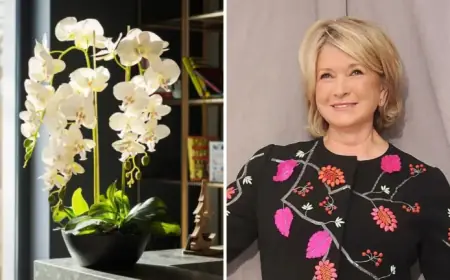 Martha Stewart Curates Stunning Orchids as Artful, Long-Lasting Floral Arrangements