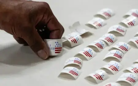 Denton County Early Voting Locations: Denton and Lewisville Guide