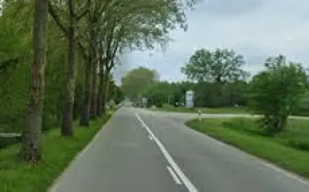 Ain: New Festival Buzz Around South Asian Debut Sparks Industry Interest