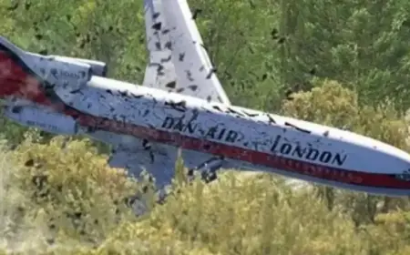 UK-Tenerife Crash: Pilot’s Last Words Echo in Tragic Accident Killing 146