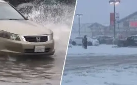 los angeles weather: Snow and Rain Sweep Southern California as More Storms Expected