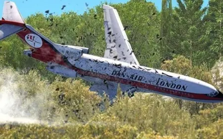Pilot's haunting final words before 1980 crash as flights tenerife turned deadly