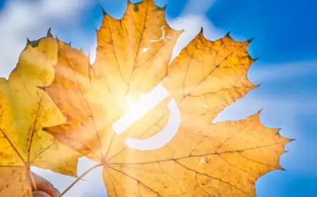 Severe Vitamin D Deficiency Increases Risk of Respiratory Infections