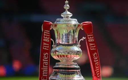 fa cup draw: Mansfield to host Arsenal as Wrexham land Chelsea and City head to Newcastle