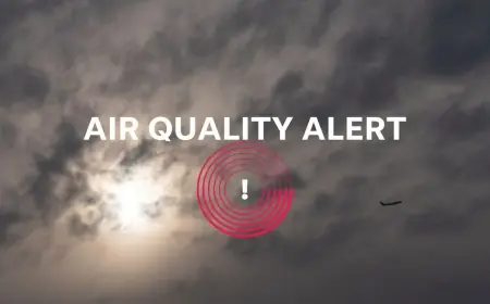 why is the air quality bad today: Dense fog advisory and air quality alert for New York and New Jersey