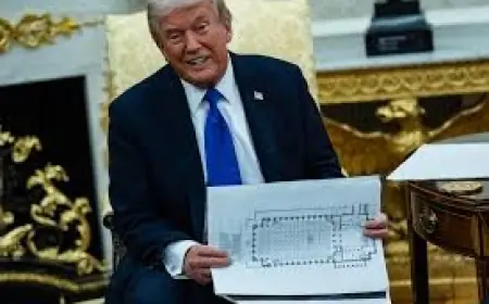 Trump appoints chamberlain harris to Commission of Fine Arts as critics question arts credentials