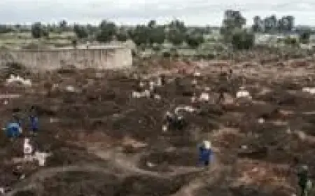 Gold-Seekers’ Diggings Transform Township Near Johannesburg