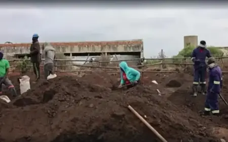 Gold Rush Fever Strikes Township Near South Africa’s City of Springs