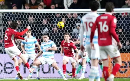 bristol city vs wrexham: Max Bird's late stunner earns a point at Ashton Gate