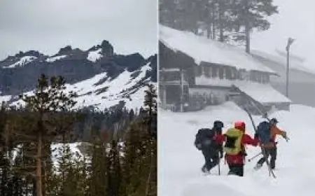 tahoe avalanche: 8 skiers found dead, 1 missing in deadliest modern California avalanche